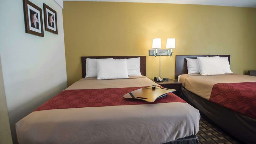 Imagen de la habitación del Hotel Super 8 by Wyndham Albuquerque Downtown. Foto 11