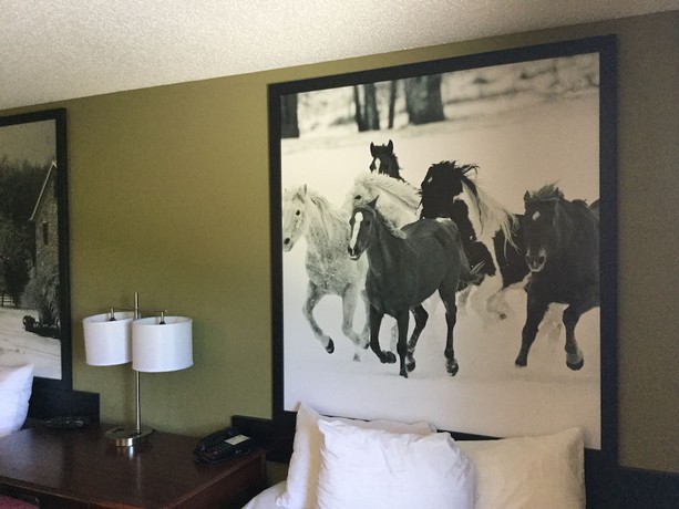 Imagen de la habitación del Hotel Super 8 by Wyndham Amsterdam. Foto 4