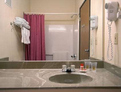 Imagen de la habitación del Hotel Super 8 by Wyndham Bloomington University Area. Foto 8