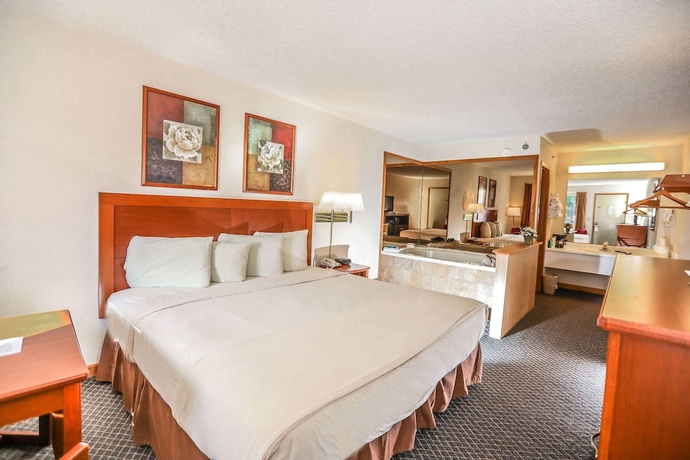 Imagen de la habitación del Hotel Super 8 by Wyndham Branson / Shepherd of the Hills Exwy. Foto 12