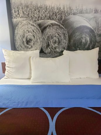 Imagen de la habitación del Hotel Super 8 by Wyndham Chariton. Foto 18