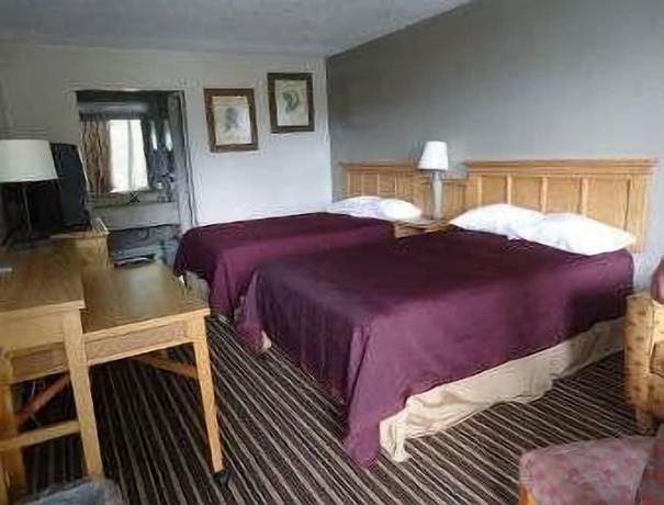 Imagen de la habitación del Hotel Super 8 by Wyndham Florence SC I-95 North / Hwy 76. Foto 3