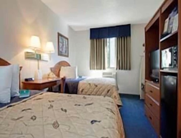 Imagen de la habitación del Hotel Super 8 by Wyndham Gainesville I-75 Hospital/University Area. Foto 3