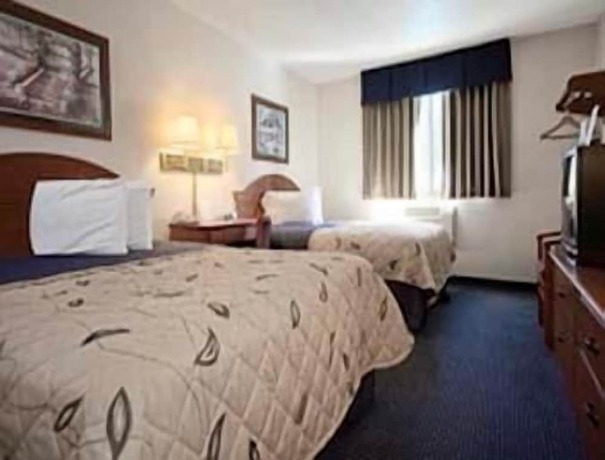 Imagen de la habitación del Hotel Super 8 by Wyndham Gainesville I-75 Hospital/University Area. Foto 4