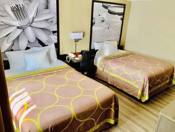 Imagen de la habitación del Hotel Super 8 by Wyndham Gainesville I-75 Hospital/University Area. Foto 14