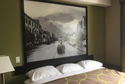 Imagen general del Hotel Super 8 by Wyndham Hardisty. Foto 5