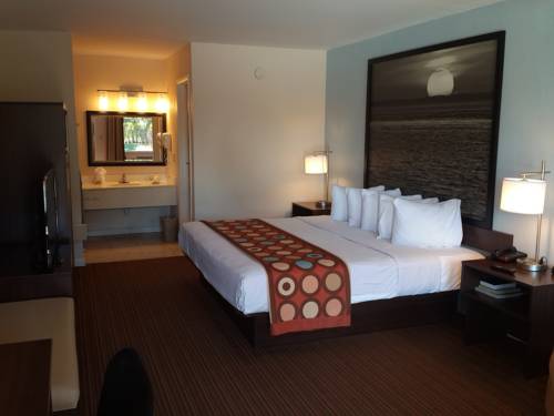 Imagen de la habitación del Hotel Super 8 by Wyndham Homestead Florida City Gateway to Keys. Foto 9