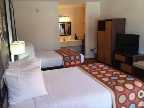 Imagen de la habitación del Hotel Super 8 by Wyndham Homestead Florida City Gateway to Keys. Foto 13