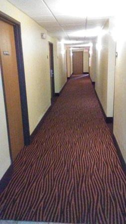 Imagen general del Hotel Super 8 by Wyndham Lynchburg VA. Foto 3