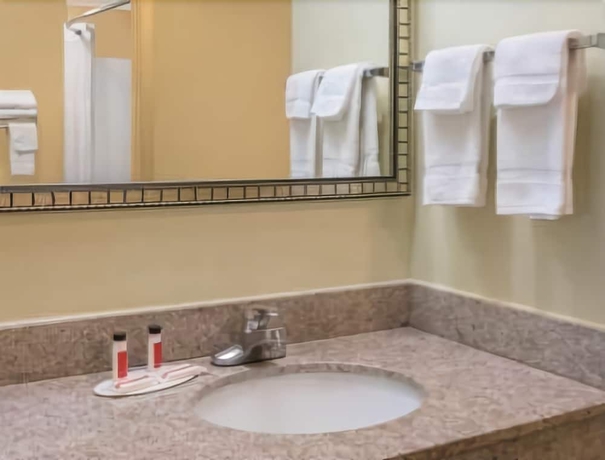 Imagen de la habitación del Hotel Super 8 by Wyndham Montgomery I-65. Foto 14