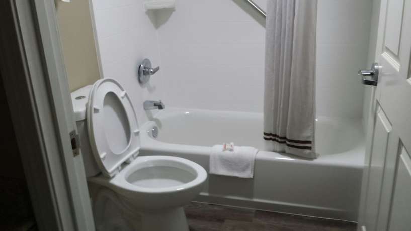 Imagen de la habitación del Hotel Super 8 by Wyndham Murfreesboro. Foto 7