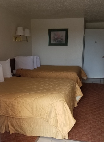 Imagen de la habitación del Hotel Super 8 by Wyndham Newcastle. Foto 14