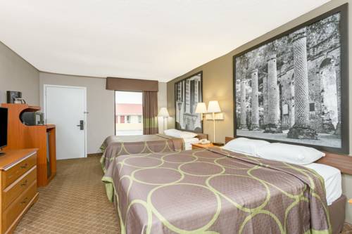 Imagen de la habitación del Hotel Super 8 by Wyndham, Orangeburg. Foto 6