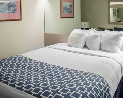 Imagen de la habitación del Hotel Super 8 by Wyndham Pensacola. Foto 4