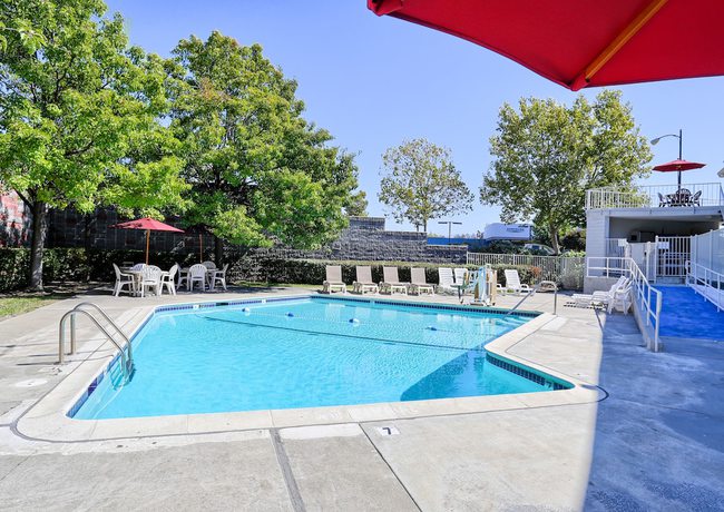 Imagen de la piscina del Hotel Super 8 by Wyndham Walnut Creek. Foto 19