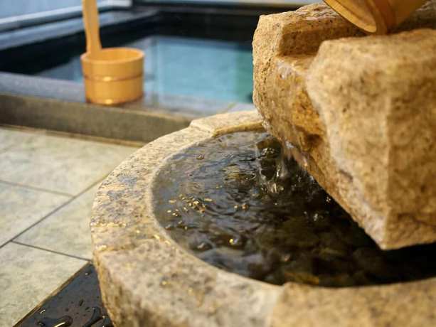 Imagen de la habitación del Hotel Super Hachinohe Natural Hot Springs. Foto 16