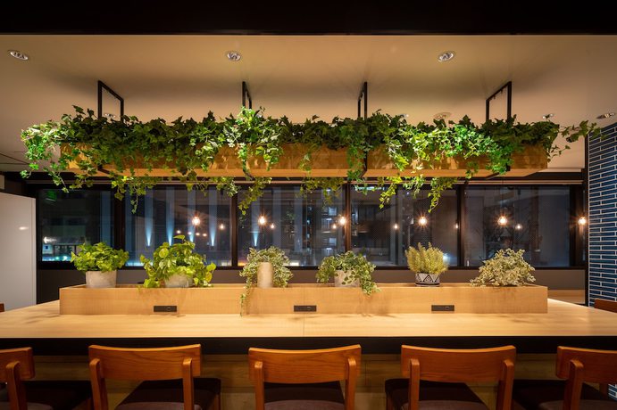 Imagen de los interiores del Hotel Super Kobe. Foto 17