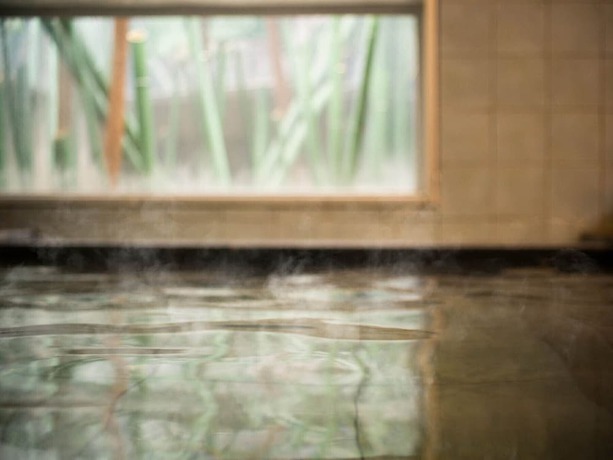 Imagen general del Hotel Super Nagaizumi Numazu Inter. Foto 1