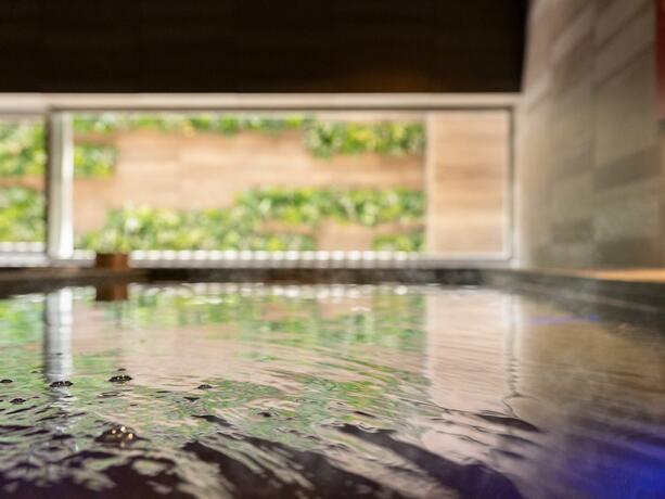 Imagen general del Hotel Super Saitama Kawagoe. Foto 44