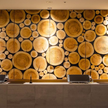 Imagen de los interiores del Hotel Superhotel Premier Ginza. Foto 16