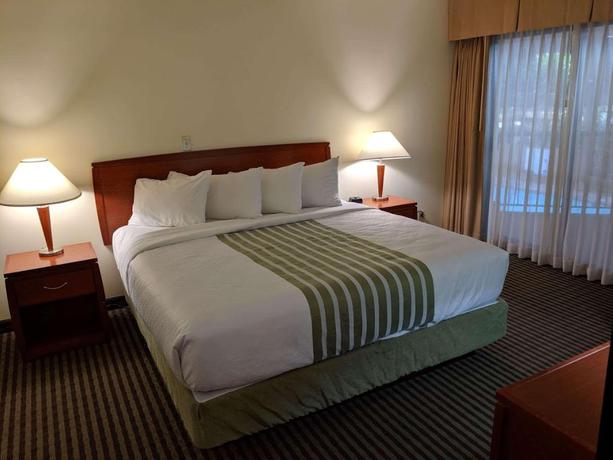 Imagen de la habitación del Hotel SureStay by Best Western Chilliwack. Foto 5