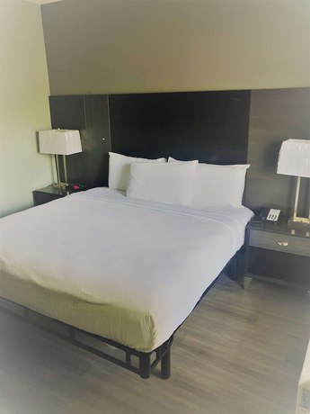 Imagen de la habitación del Hotel SureStay by Best Western Conway. Foto 7