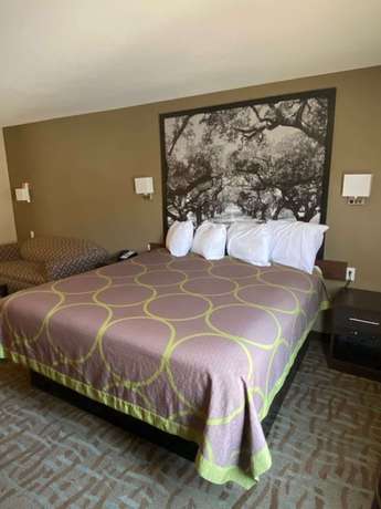 Imagen de la habitación del Hotel Surestay By Best Western Alexandria Airport. Foto 13