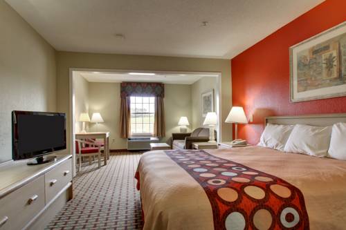 Imagen de la habitación del Hotel Surestay By Best Western Tuscaloosa Southeast. Foto 10