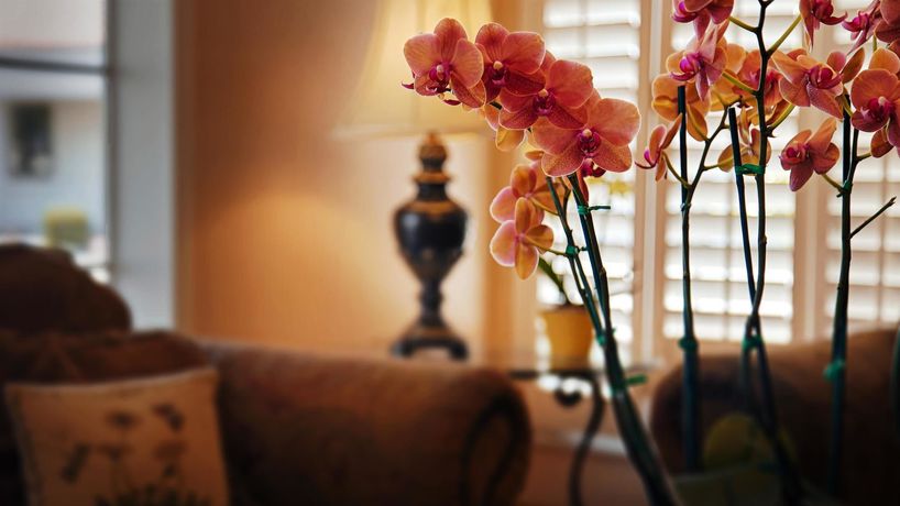 Imagen de los interiores del Hotel Surestay Hotel By Best Western Camarillo. Foto 7