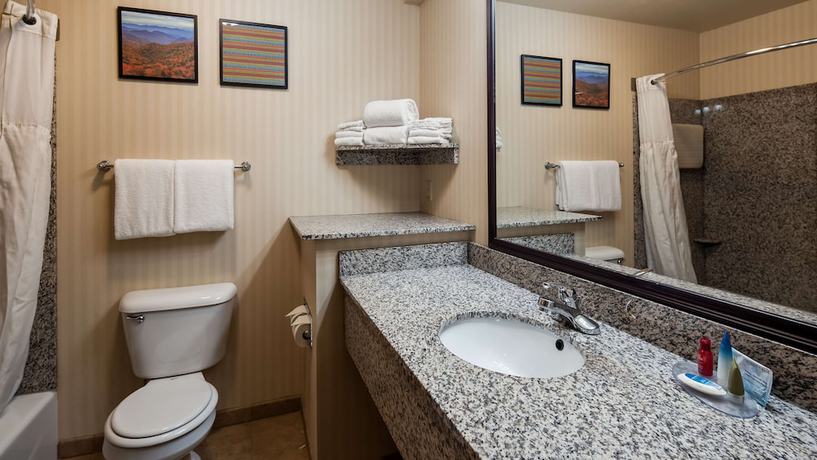 Imagen de la habitación del Hotel Surestay Plus By Best Western Buffalo. Foto 5
