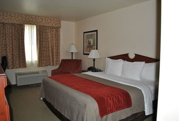 Imagen de la habitación del Hotel Surestay Plus By Best Western Buffalo. Foto 6