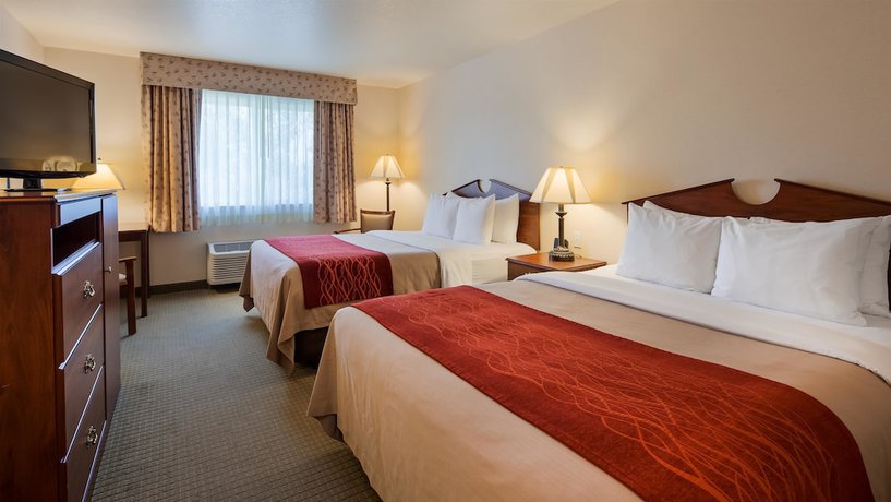 Imagen de la habitación del Hotel Surestay Plus By Best Western Buffalo. Foto 9