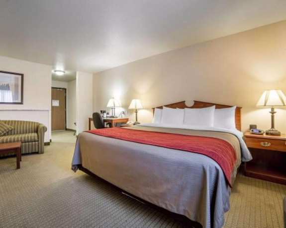Imagen de la habitación del Hotel Surestay Plus By Best Western Buffalo. Foto 10