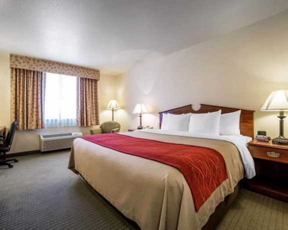 Imagen de la habitación del Hotel Surestay Plus By Best Western Buffalo. Foto 12
