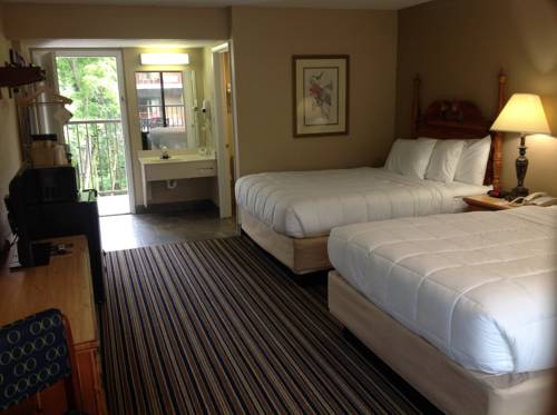 Imagen de la habitación del Hotel Surestay Plus By Best Western Gatlinburg. Foto 5