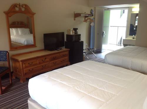 Imagen de la habitación del Hotel Surestay Plus By Best Western Gatlinburg. Foto 16