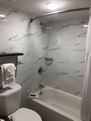 Imagen de la habitación del Hotel Surestay Plus By Best Western Sacramento Cal Expo. Foto 15