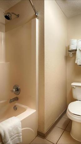 Imagen de la habitación del Hotel Surestay Plus By Best Western San Antonio Fiesta Inn. Foto 8