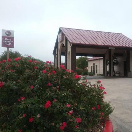 Imagen general del Hotel Surestay Plus By Best Western San Antonio Fiesta Inn. Foto 2