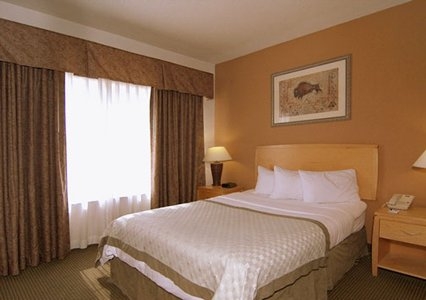 Imagen de la habitación del Hotel Surestay Plus By Best Western San Antonio Fort Sam Houston. Foto 5