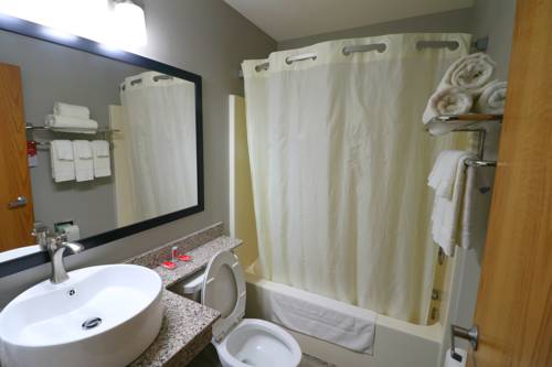 Imagen de la habitación del Hotel Surestay Plus By Best Western Sevierville. Foto 9