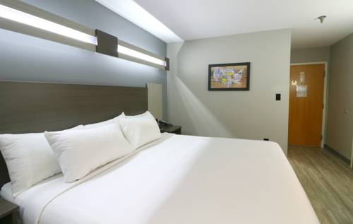 Imagen de la habitación del Hotel Surestay Plus By Best Western Sevierville. Foto 14