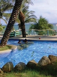 Imagen de la piscina del Hotel Surf Paradise. Foto 5
