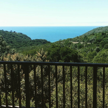 Imagen de los exteriores del Hotel Surfari Accommodation and Venue. Foto 18