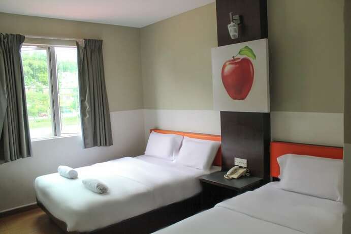Imagen general del Hotel Suria. Foto 10