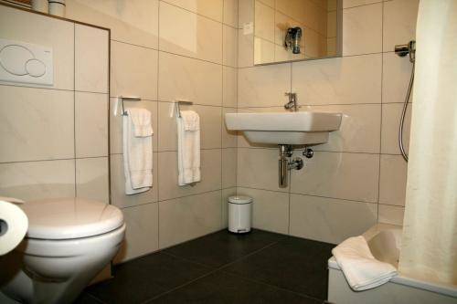 Imagen de la habitación del Hotel Sursee. Foto 16