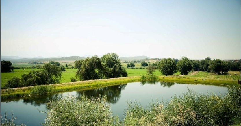 Imagen de la habitación del Hotel Surval Boutique Olive Estate. Foto 9