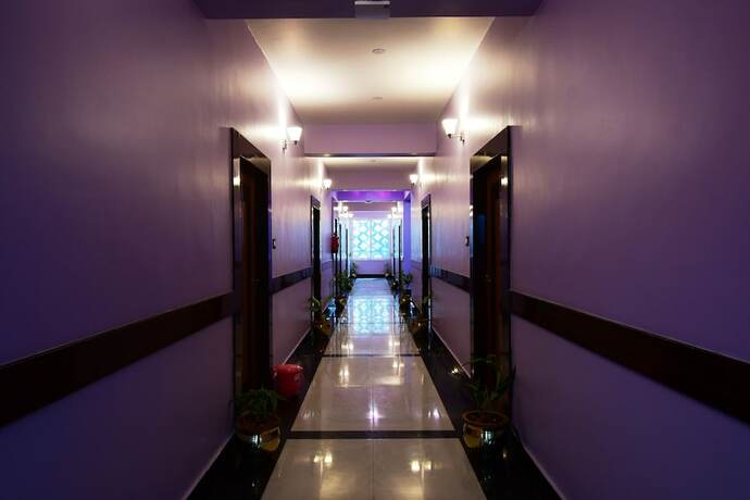 Imagen general del Hotel Sushree International. Foto 9
