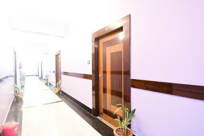 Imagen general del Hotel Sushree International. Foto 14