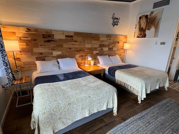 Imagen general del Hotel Sussex Motel. Foto 3